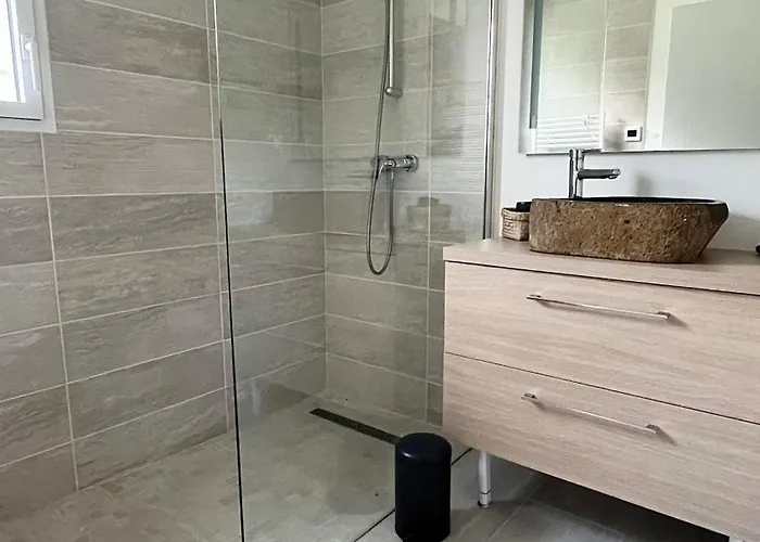 Cantate - Maison Avec Piscine * Escource